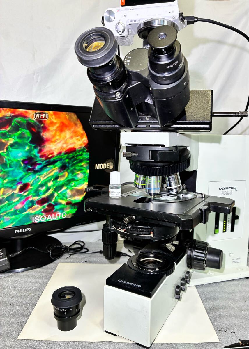 BX50 Phase Contrast Microscope [j1238147216]