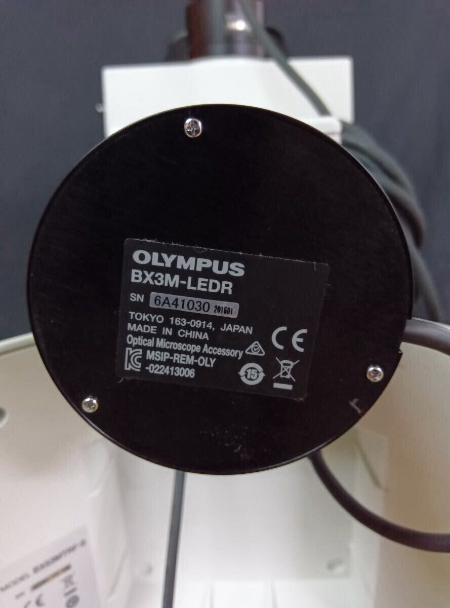 Olympus BX53MTRF-S Microscope [n1243266940]