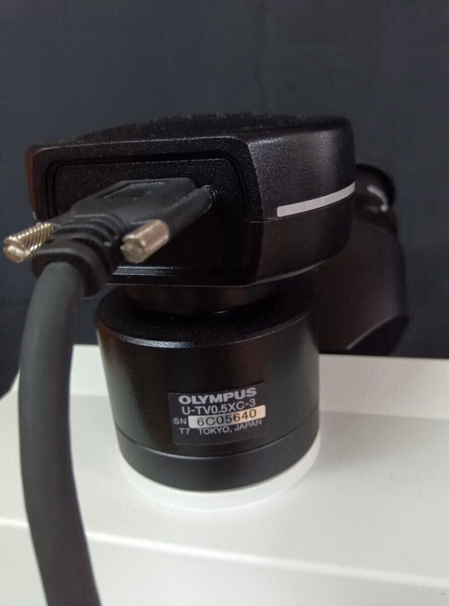Olympus BX53MTRF-S Microscope [n1243266940]