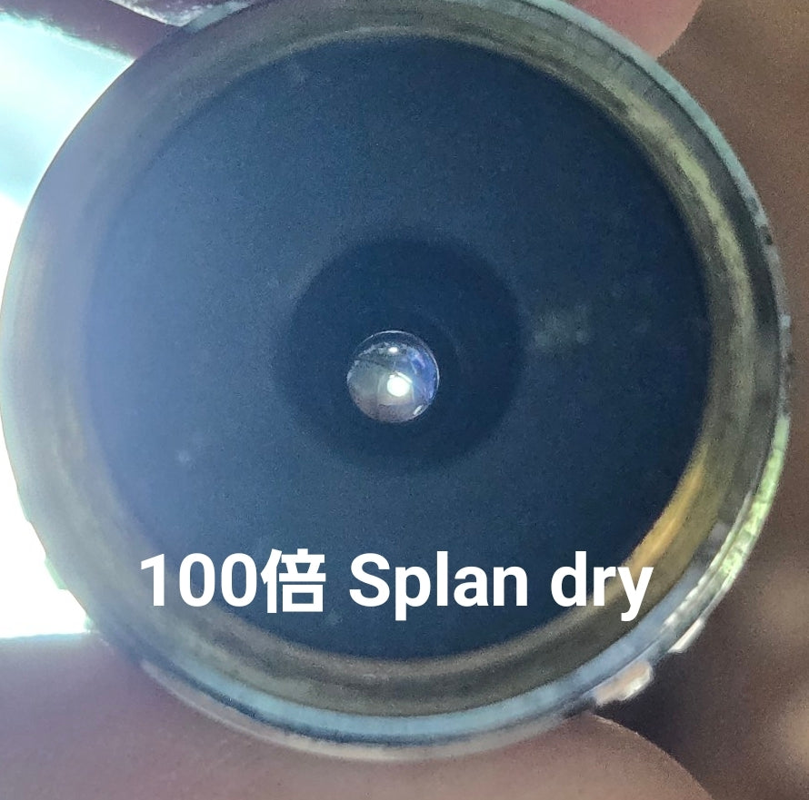 Olympus Splan apo 20 40 100 Objective Lens Set [t1247046527]