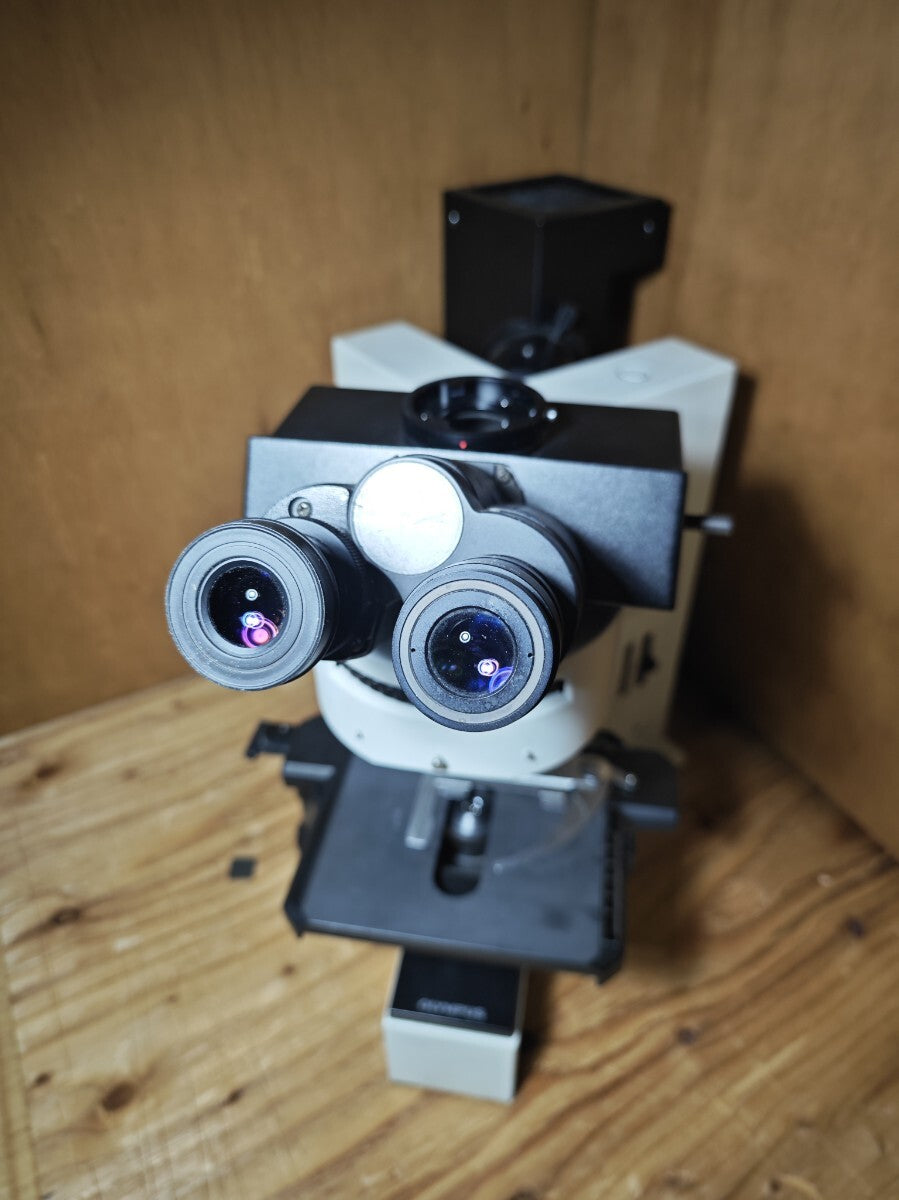 Microscope BX60 [r1178856785]