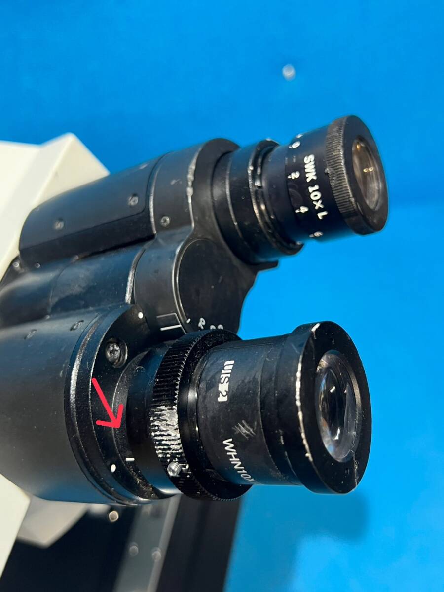 OLYMPUS BX51RF Microscope [t1199489433]