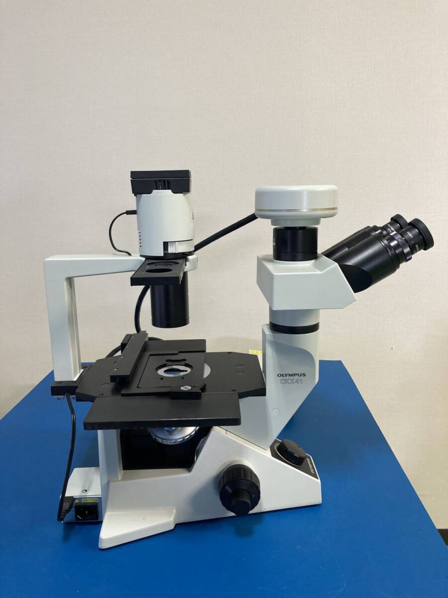 OLYMPUS CKX41 Inverted Microscope [u1200291280]