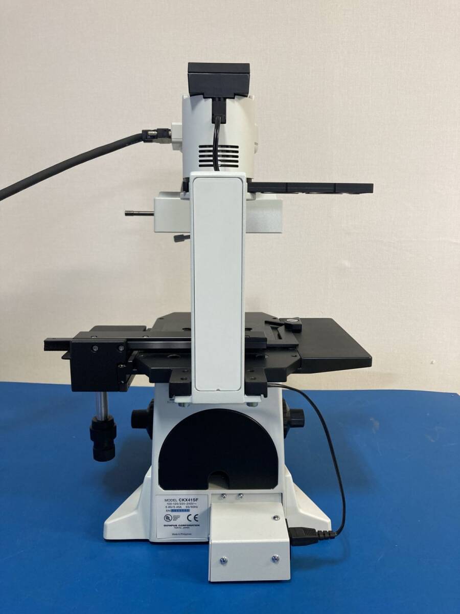 OLYMPUS CKX41 Inverted Microscope [u1200291280]