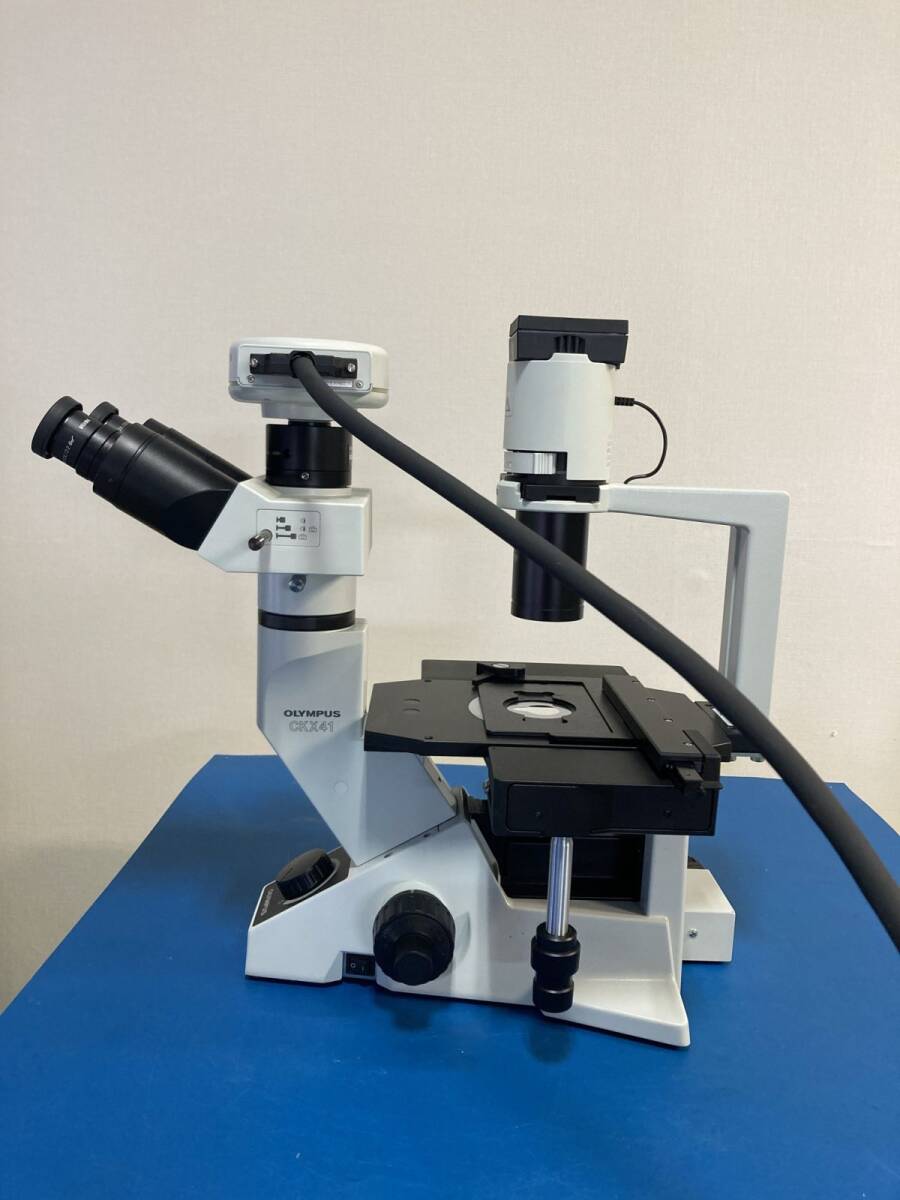 OLYMPUS CKX41 Inverted Microscope [u1200291280]
