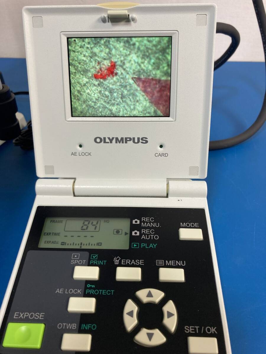 OLYMPUS CKX41 Inverted Microscope [u1200291280]