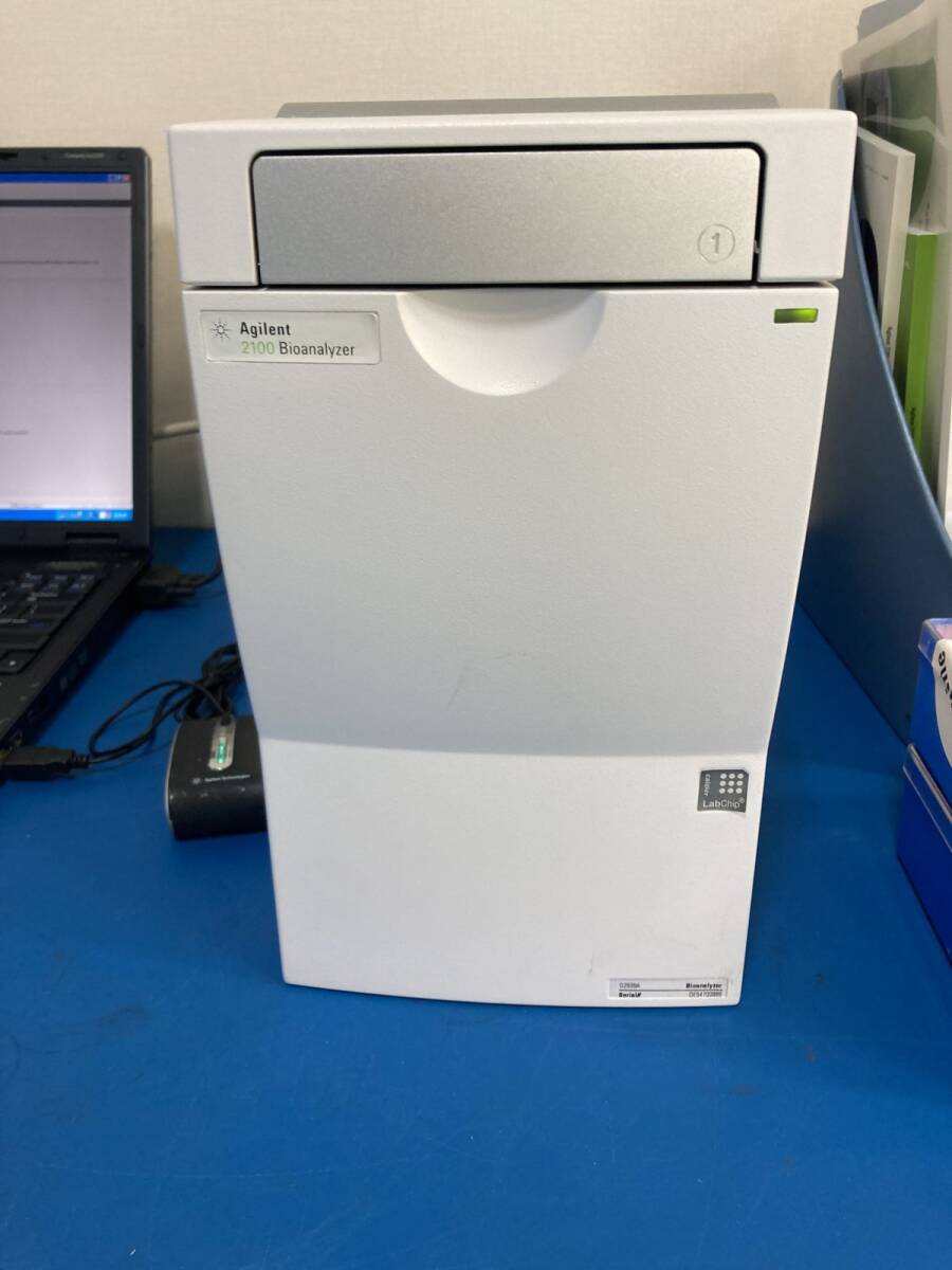 Agilent 2100 Bioanalyzer Electrophoresis System [1201563996]