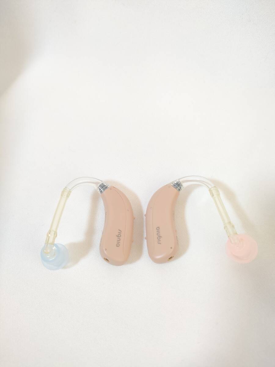 Signia 3X Rechargeable Hearing Aid Motion Charge&Go P X [w1210090462]
