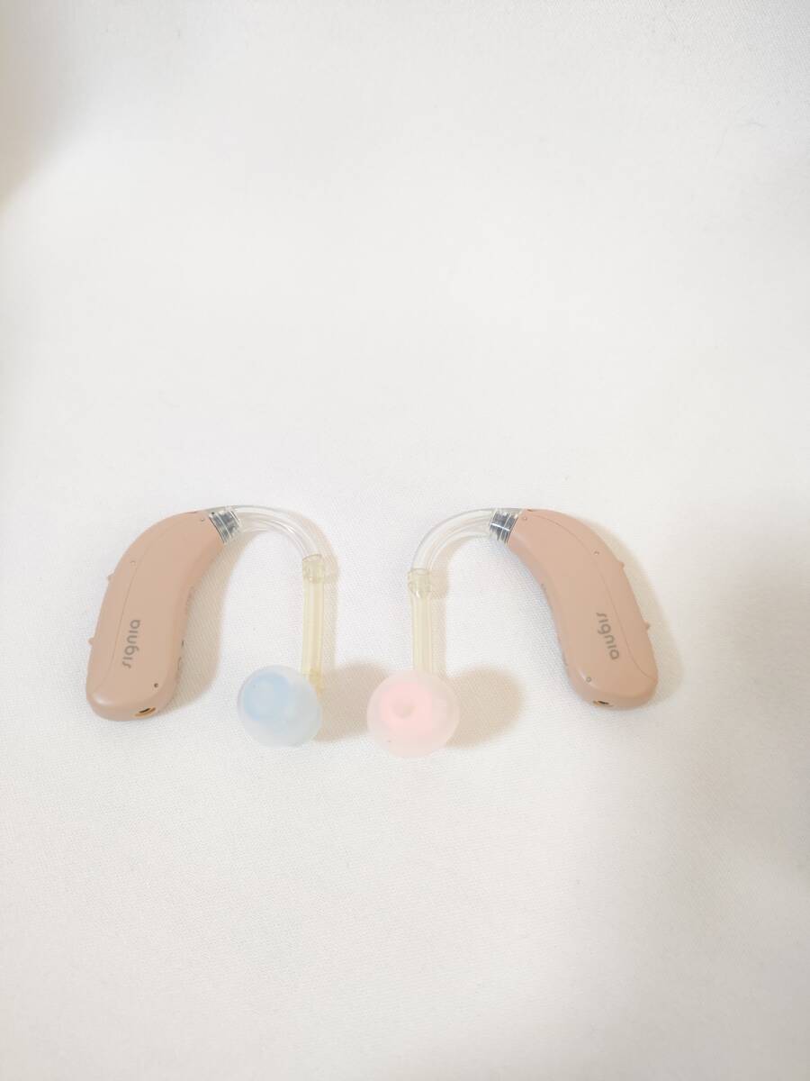 Signia 3X Rechargeable Hearing Aid Motion Charge&Go P X [w1210090462]