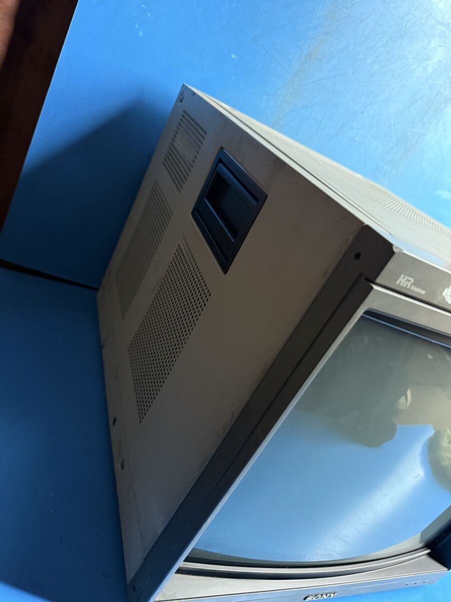 SONY BVM-D20F1J Professional Video Monitor [k1211023295]