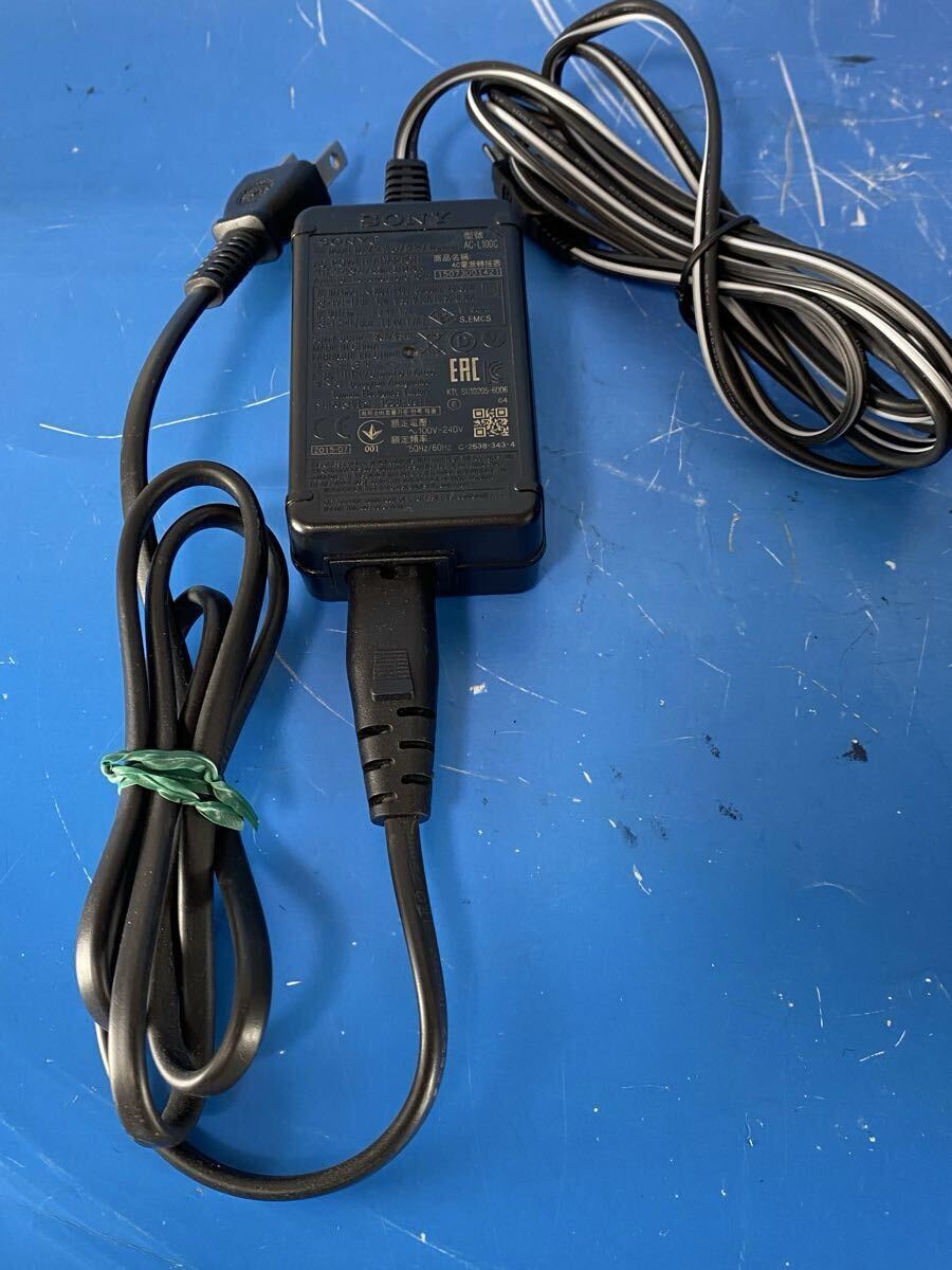 SONY NXCAM HXR-NX100 Camcorder [b1218897098]
