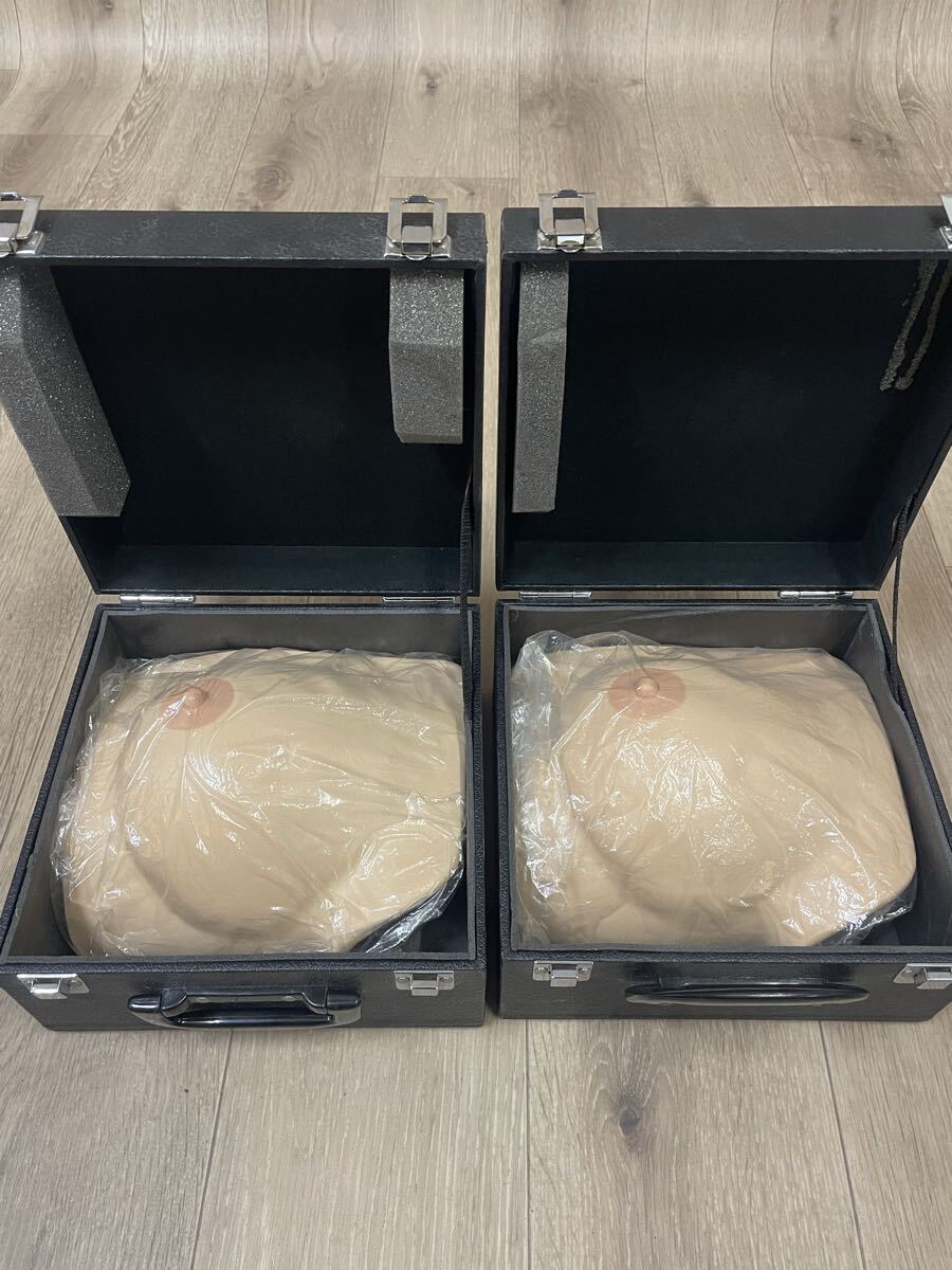JFPA Breast Cancer Palpation Model Type II Set of 2 [v1220211311]