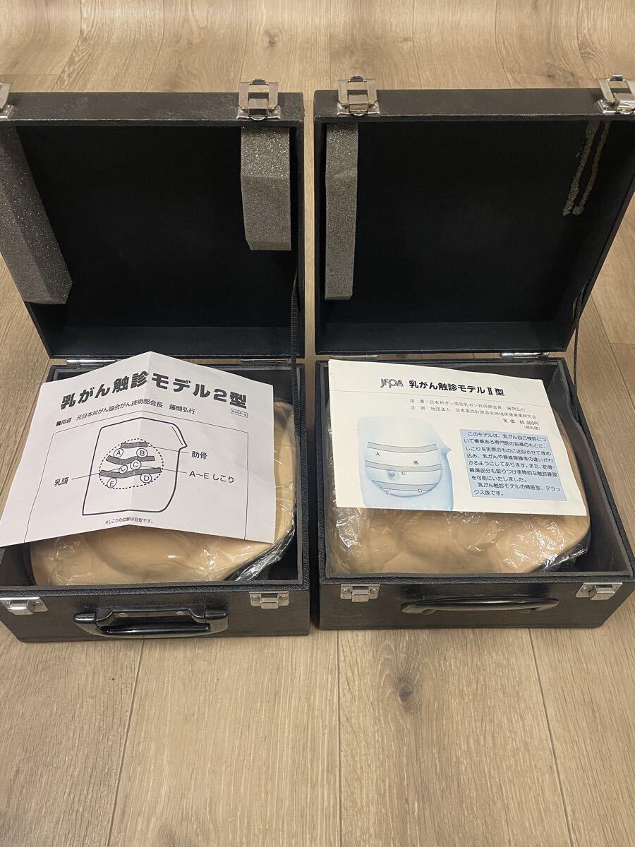 JFPA Breast Cancer Palpation Model Type II Set of 2 [v1220211311]