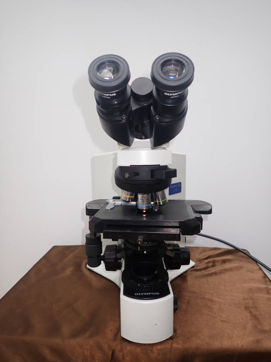 Olympus BX41TF Biological Microscope [k1231416360]