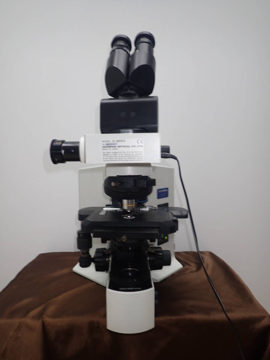 Olympus BX51TF Biological Microscope [c1232139056]