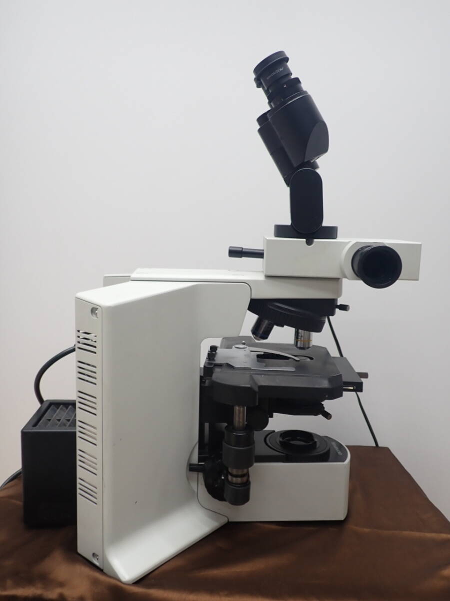 Olympus BX51TF Biological Microscope [c1232139056]
