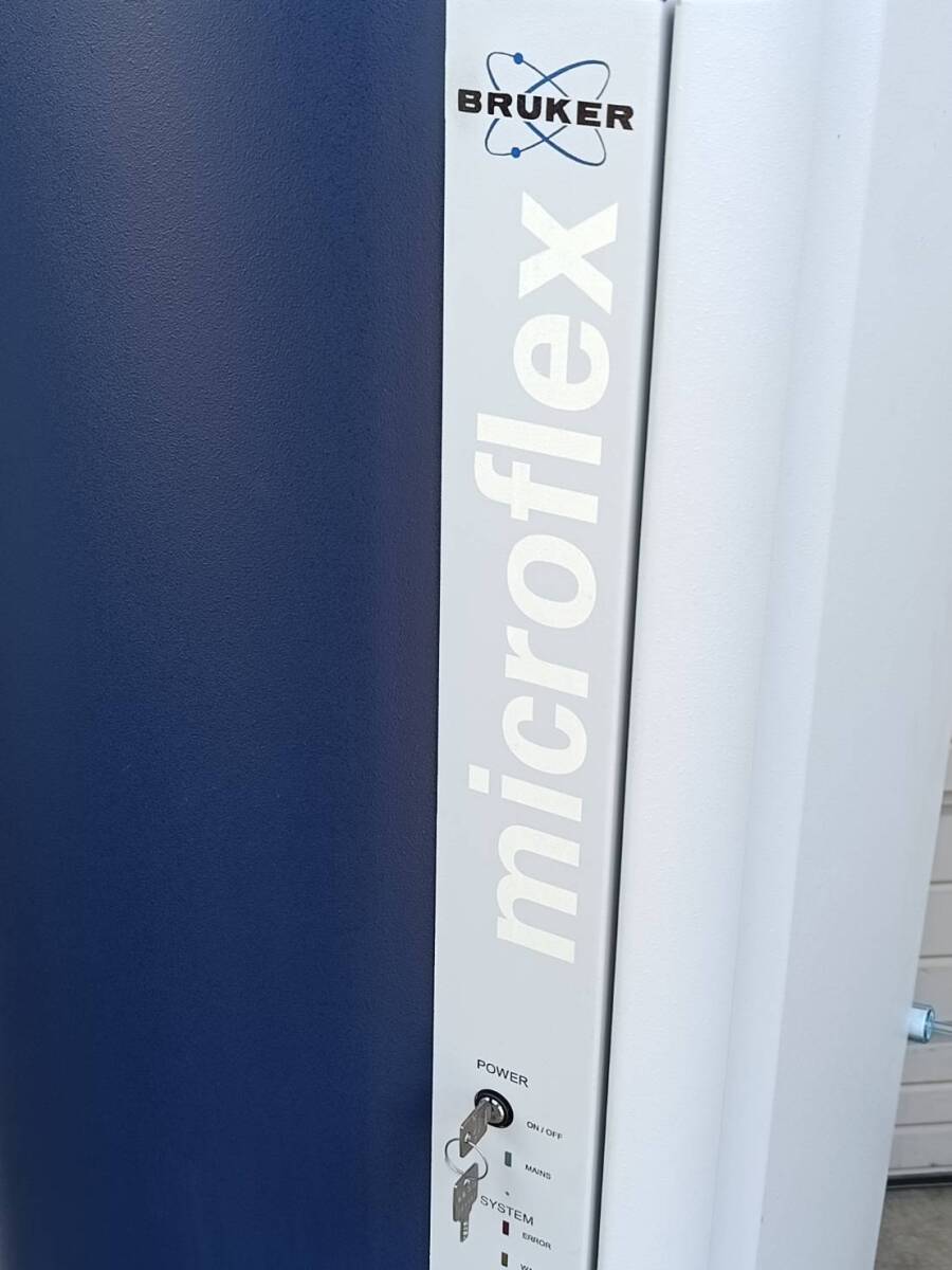 Bruker MicroFlex LT/SH Mass Spectrometer [k1241054286]