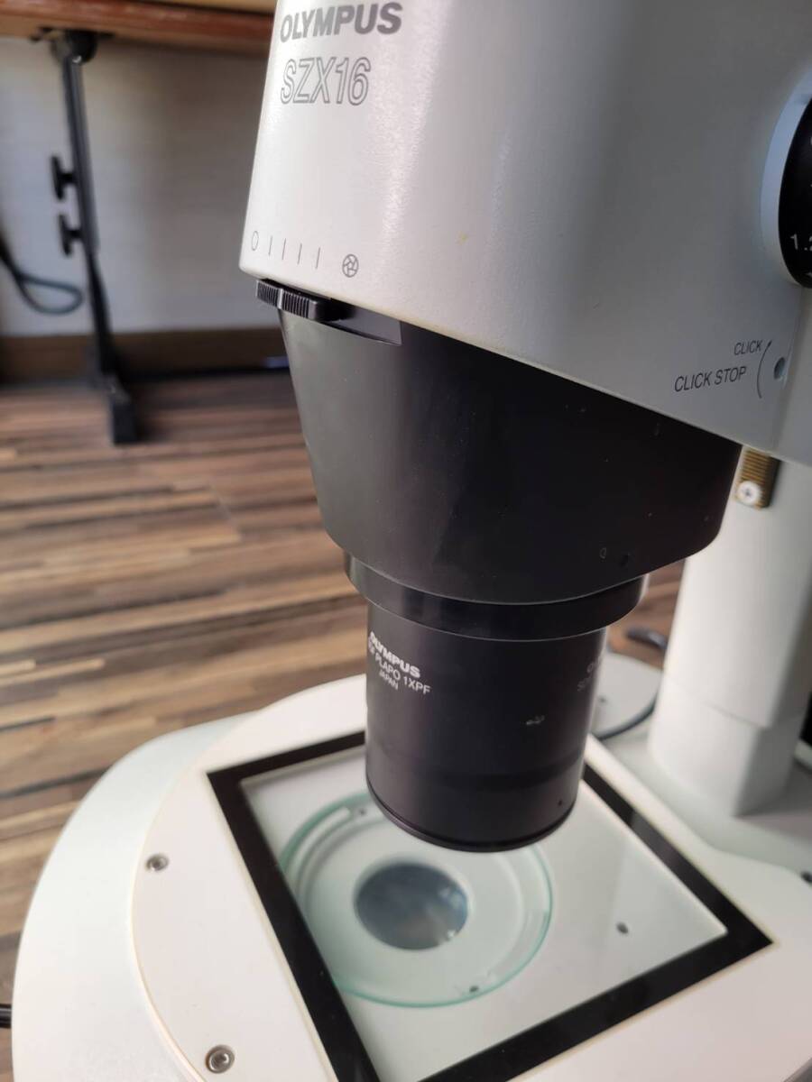 Olympus SZX16 Microscope [h1242039028]