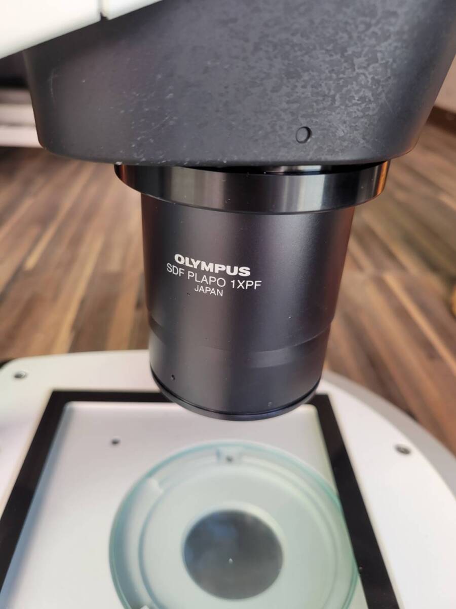 Olympus SZX16 Microscope [h1242039028]