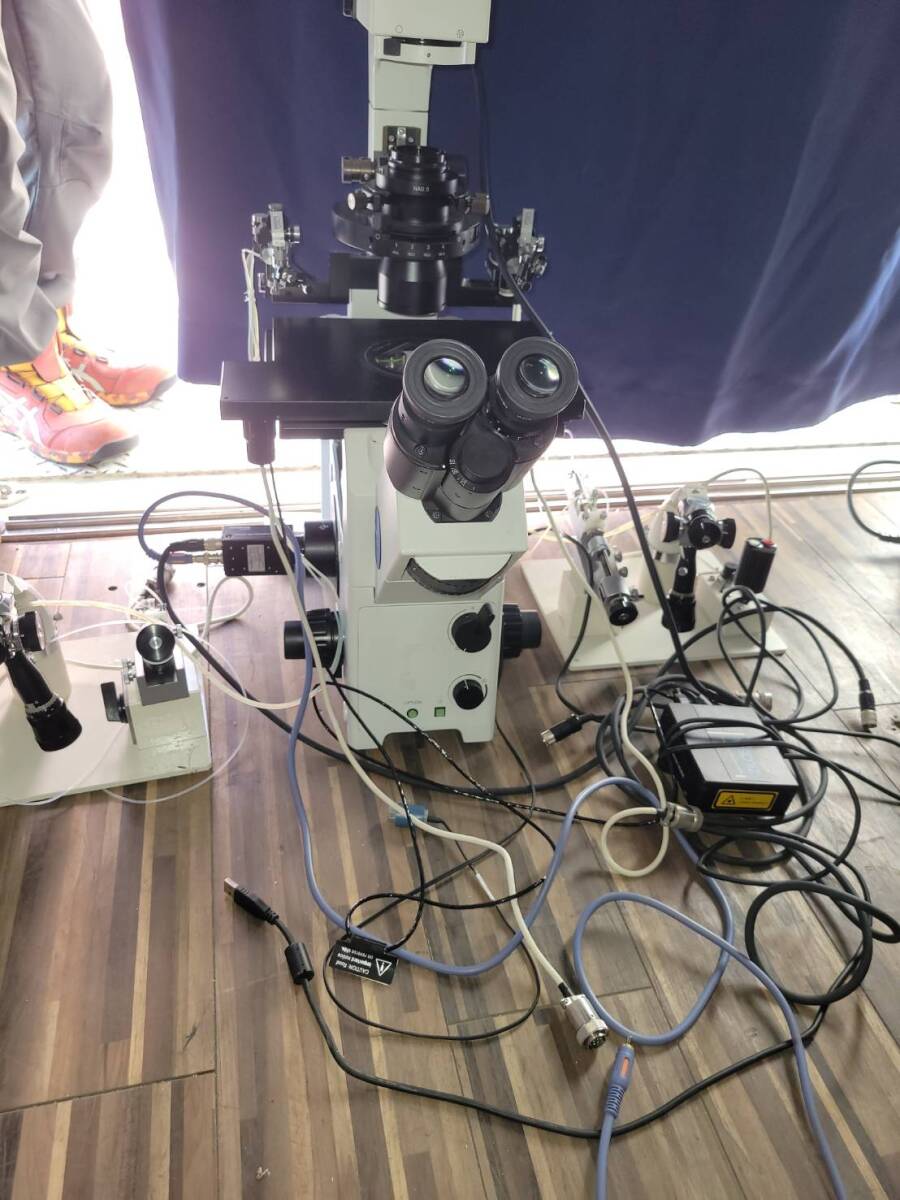 Olympus IX71 Microscope [x1242246866]