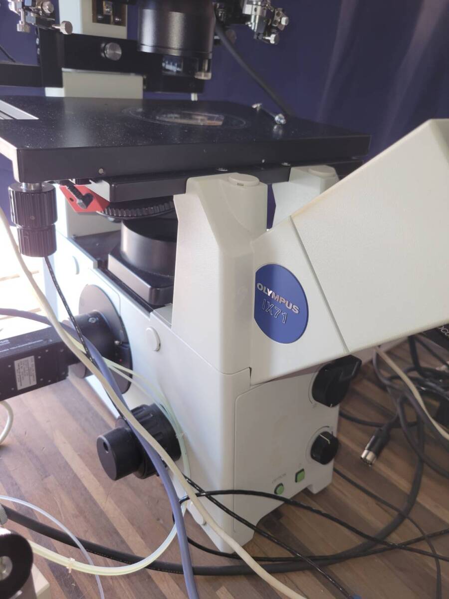 Olympus IX71 Microscope [x1242246866]