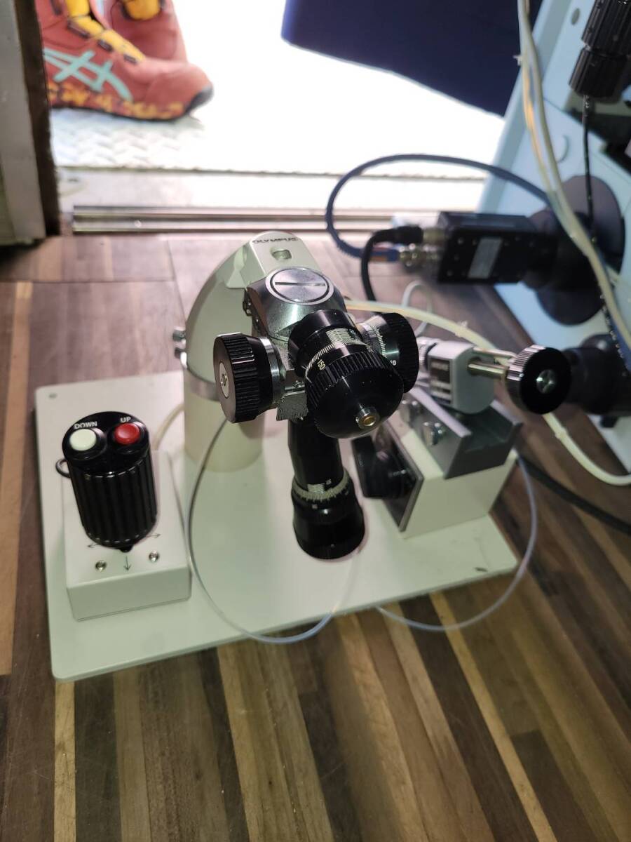 Olympus IX71 Microscope [x1242246866]