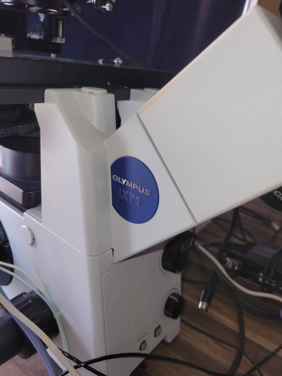 Olympus IX71 Microscope [x1242246866]