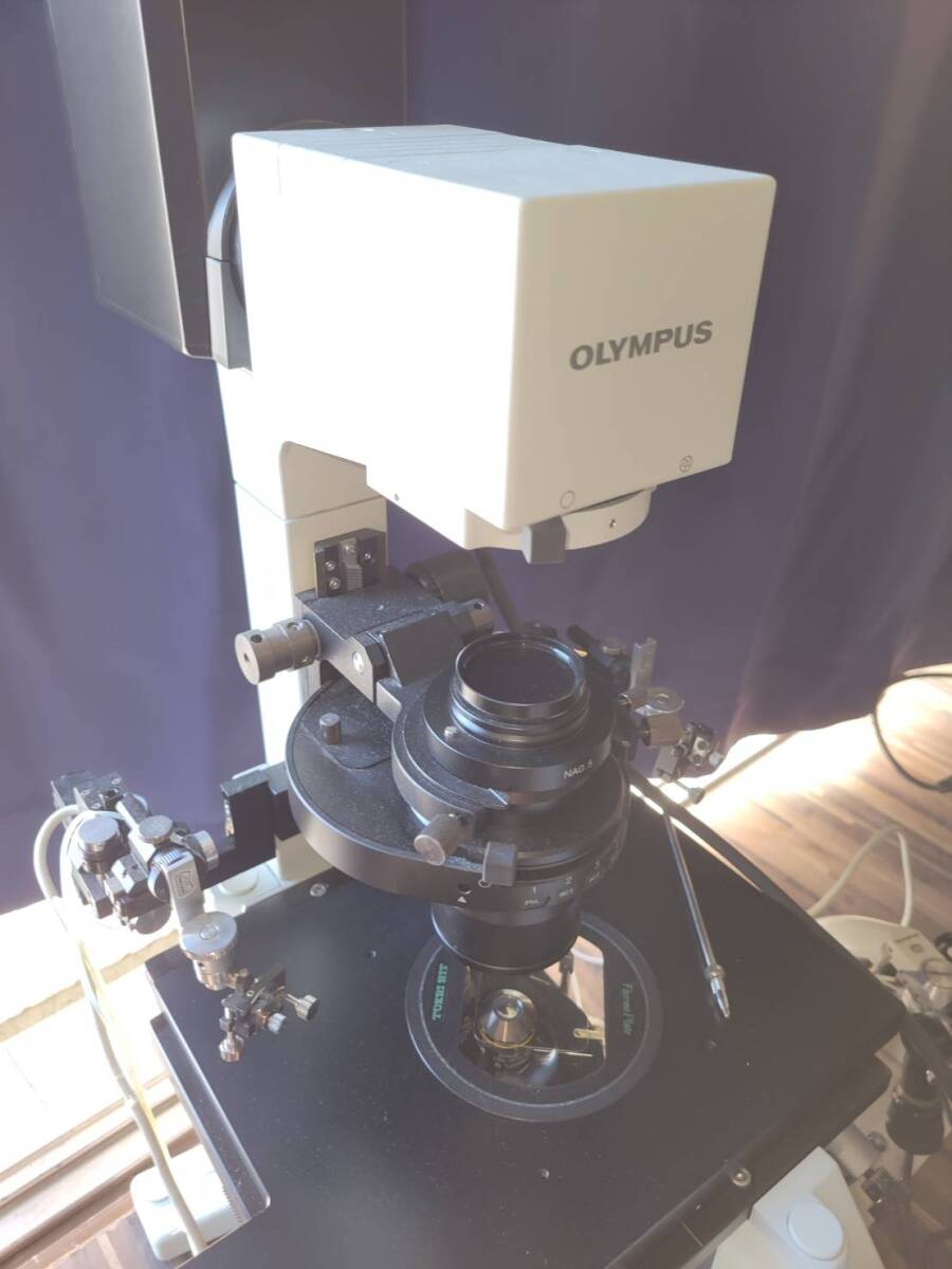 Olympus IX71 Microscope [x1242246866]