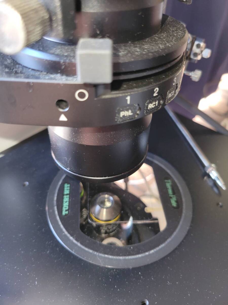 Olympus IX71 Microscope [x1242246866]