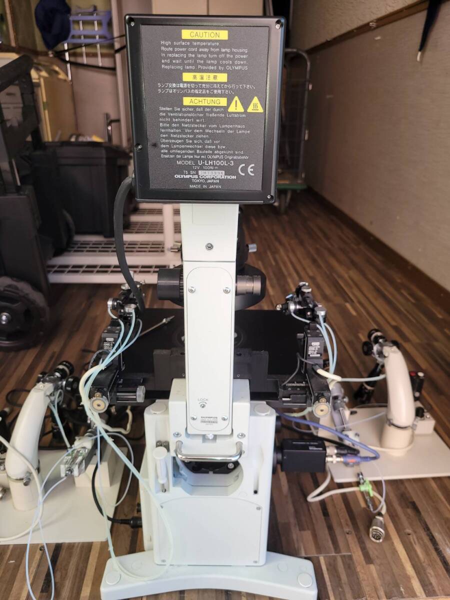 Olympus IX71 Microscope [x1242246866]
