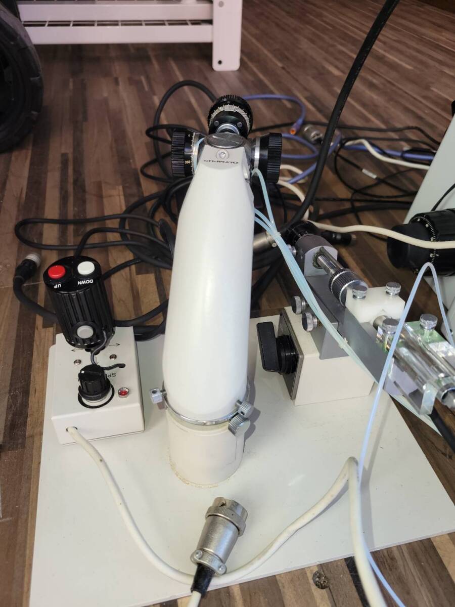 Olympus IX71 Microscope [x1242246866]
