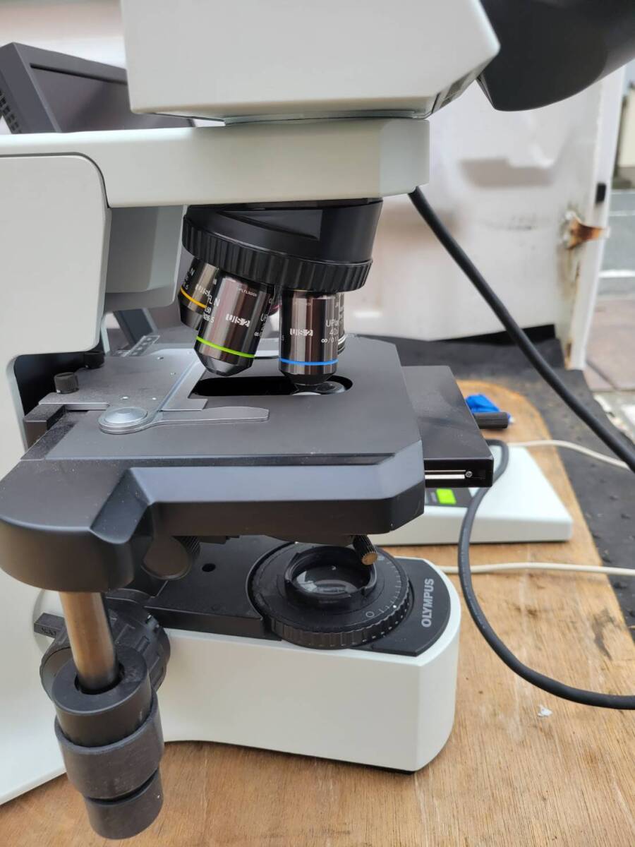 Olympus BX41 Microscope [e1242414059]
