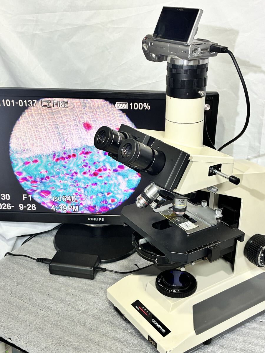 Olympus BH2 Phase Contrast Microscope with 3 Objective Lenses and Sony Camera [x1245984122]