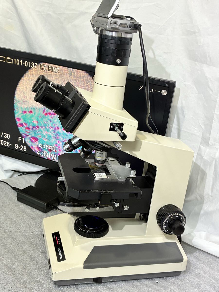 Olympus BH2 Phase Contrast Microscope with 3 Objective Lenses and Sony Camera [x1245984122]
