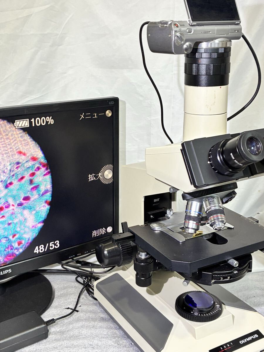Olympus BH2 Phase Contrast Microscope with 3 Objective Lenses and Sony Camera [x1245984122]