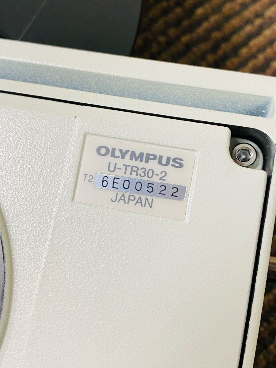 Olympus BX51TF Biological Microscope U-TR30-2 Eyepiece U-LH100-3 Lamp House [n1246923401]