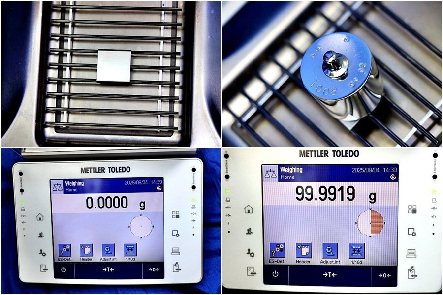 METTLER TOLEDO XPE205 Analytical Balance Electronic Balance 81g [w1198931579]