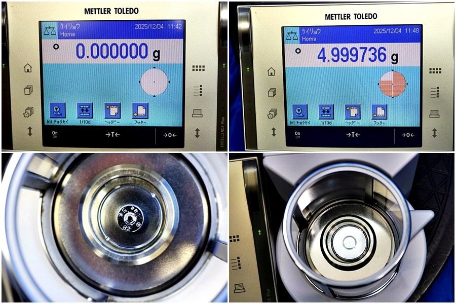 METTLER TOLEDO XP6V Electronic Balance with Printer [n1211172405]