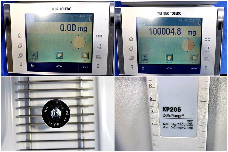 METTLER TOLEDO XP205DR Analytical Balance with Ionizer and Printer RS-P25 [w1212910700]