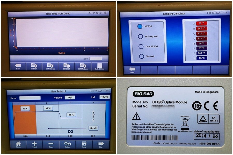 BIO-RAD CFX96 Touch Real-time PCR Analysis System [e1219182110]
