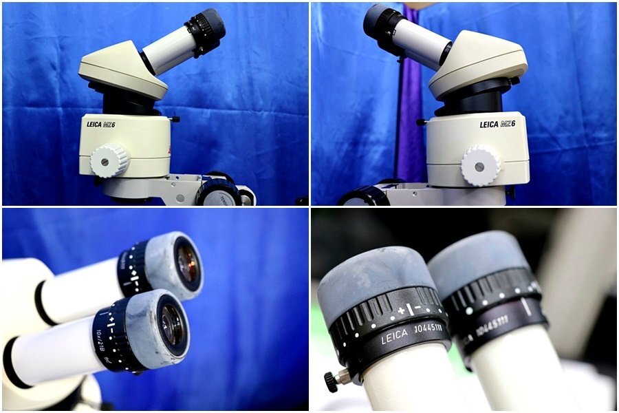 Leica MZ6 Zoom Stereo Microscope with Intralux 6000-1 Light Source [l1229227440]