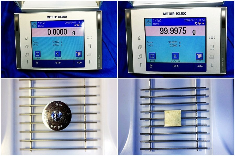 Mettler Toledo XP205DRV Semi-Micro Balance with RS-P25 Printer [u1236956358]
