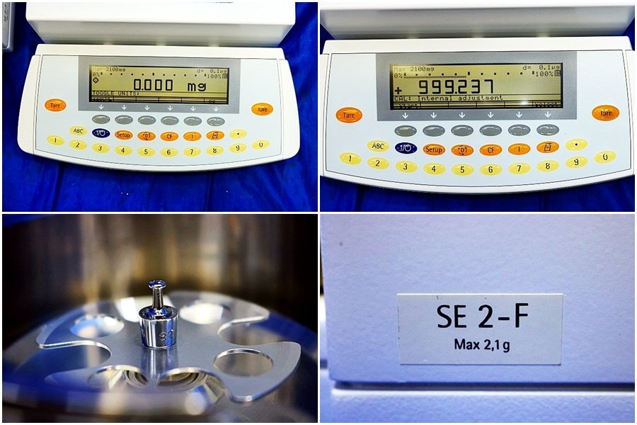 Sartorius SE2-F Ultra Micro Analytical Balance 2.1g 0.1ug [v1238085276]
