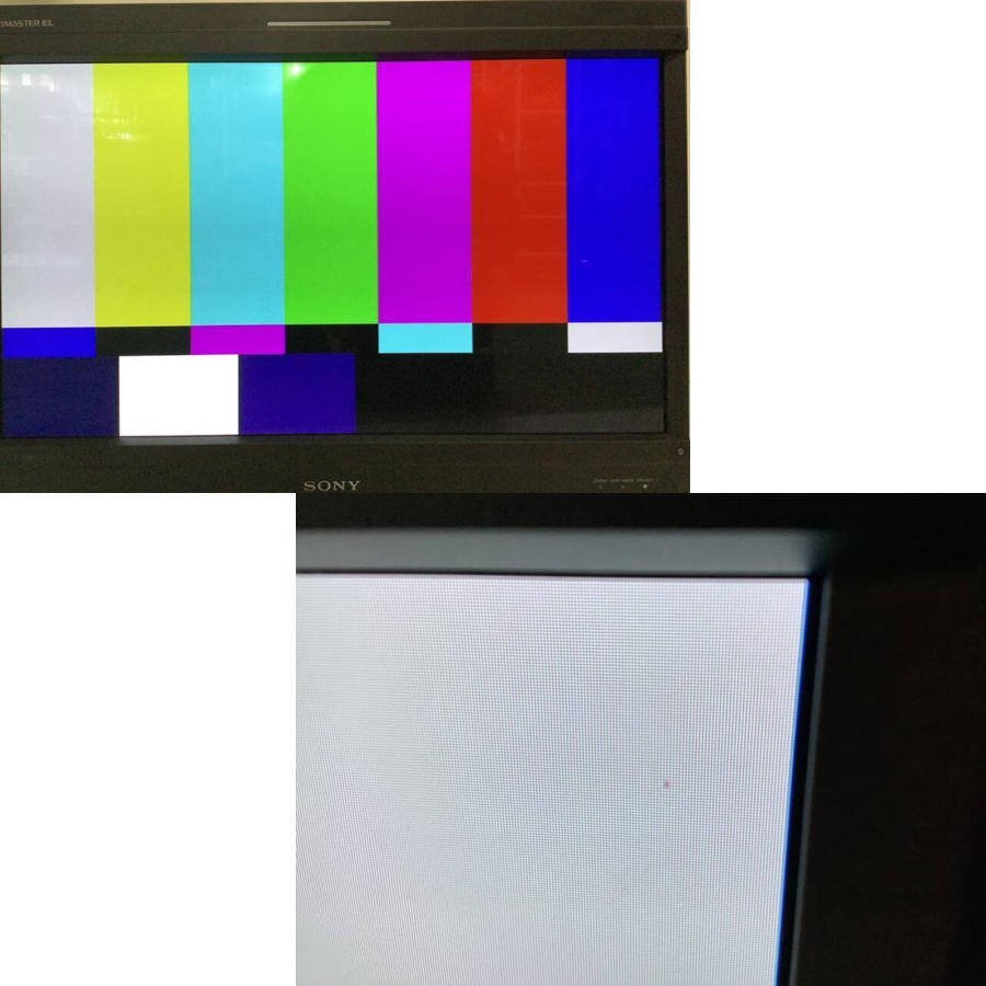 SONY BVM-E251 25-inch OLED Master Monitor Control Unit BKM-17R Installed [j1174069969]