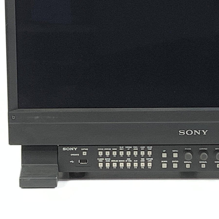 SONY BVM-E251 25-inch OLED Master Monitor Control Unit BKM-17R Installed [j1174069969]