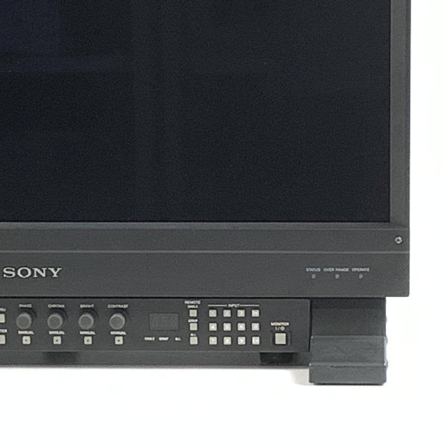 SONY BVM-E251 25-inch OLED Master Monitor Control Unit BKM-17R Installed [j1174069969]