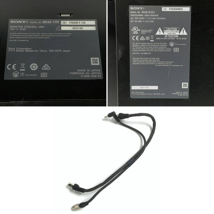 SONY BVM-E251 25-inch OLED Master Monitor Control Unit BKM-17R Installed [j1174069969]