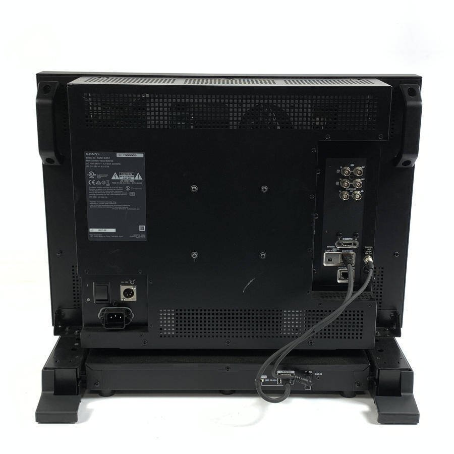 SONY BVM-E251 25-inch OLED Master Monitor Control Unit BKM-17R Installed [j1174069969]