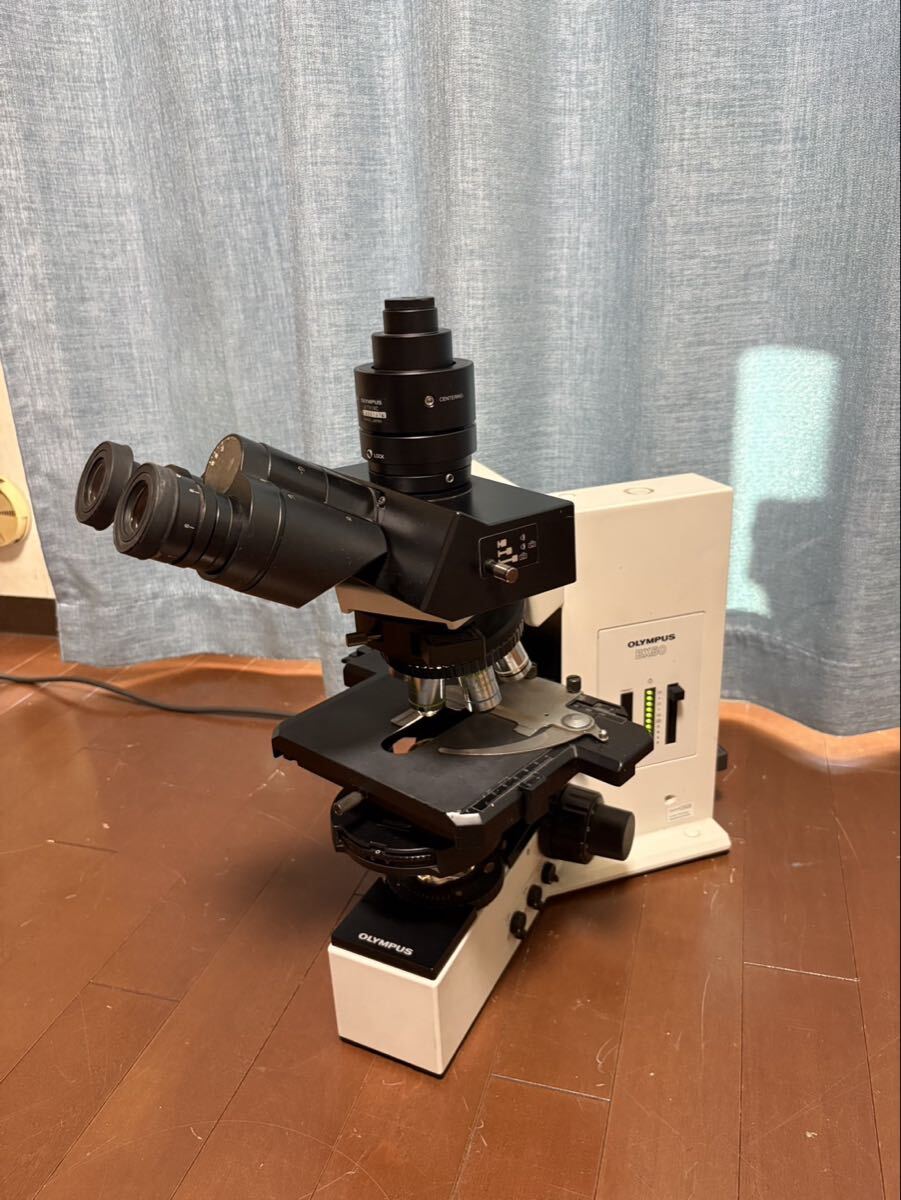 Olympus BX50F Biological Microscope [l1244454178]