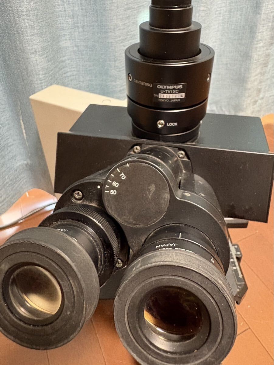 Olympus BX50F Biological Microscope [l1244454178]